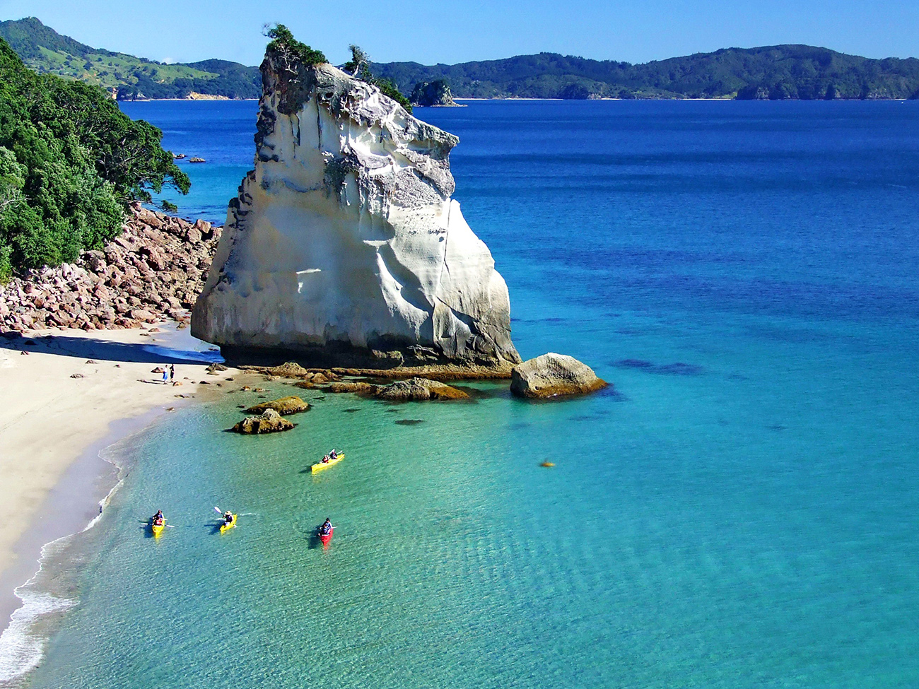 cathedral cove web