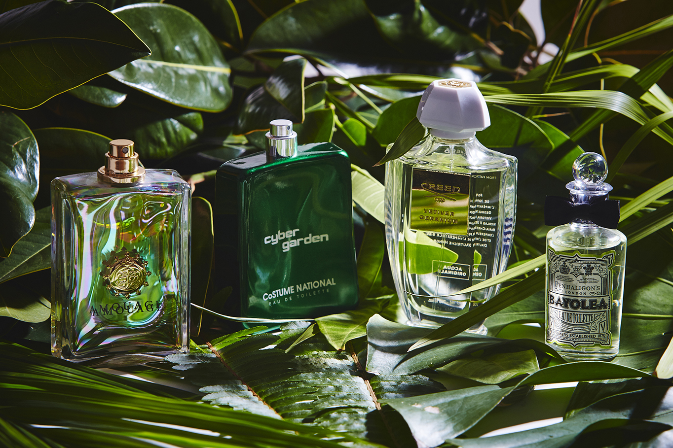 Penhaligon's bayolea discount eau de toilette