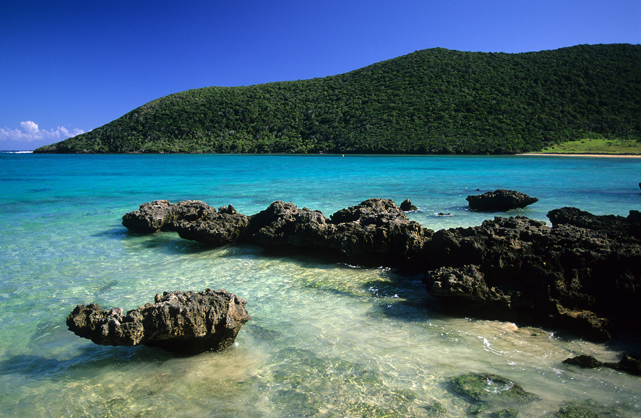 lord howe web